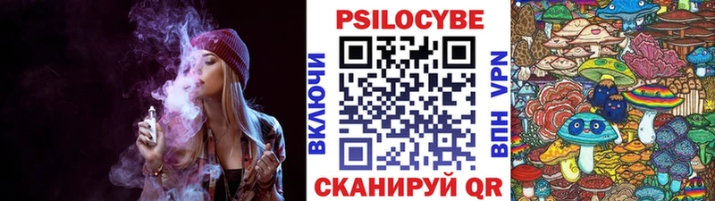 Галлюциногенные грибы Cubensis  Гудермес 