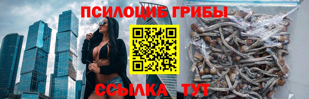 Галлюциногенные грибы MAGIC MUSHROOMS Гудермес