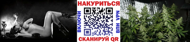 MEGA ТОР  Гудермес  Каннабис AK-47 