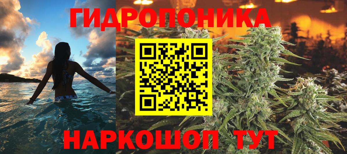 Канабис Ganja  Вход с VPN  Канабис SATIVA & INDICA  Бошки марихуана индика  Конопля тримм  Гудермес 
